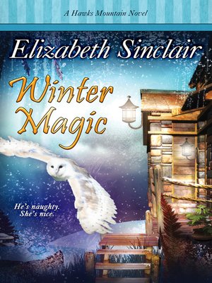 cover image of Winter Magic